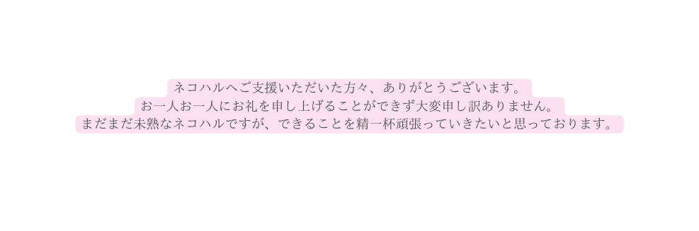 ネコハルへご支援いただいた方々 ありがとうございます お一人お一人にお礼を申し上げることができず大変申し訳ありません まだまだ未熟なネコハルですが できることを精一杯頑張っていきたいと思っております